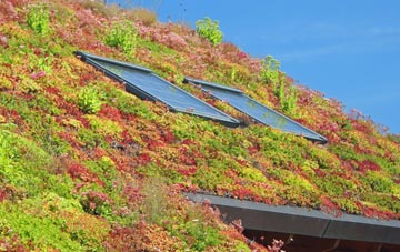 Marple Bridge living roof systems